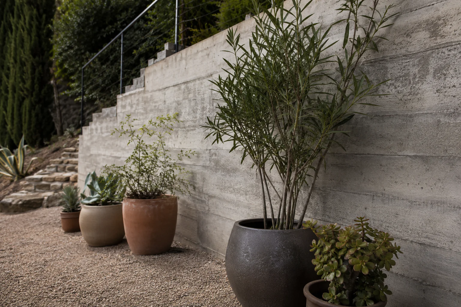Mur de soutènement nu au jardin avant ajout de plantes retombantes