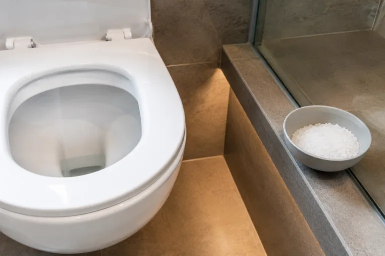 Bol de gros sel près de toilettes propres dans une salle de bain élégante